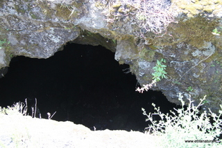 Grotta Forcato